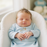 Blue Stork Baby Hand Embroidered Gown